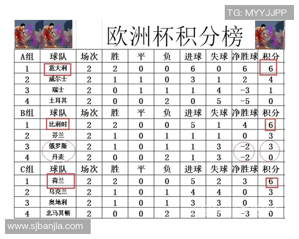 2016年欧洲杯比利时队表现回顾与成绩分析
