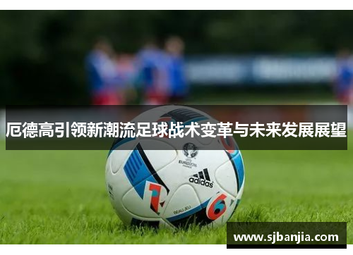 厄德高引领新潮流足球战术变革与未来发展展望